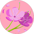 Katherine Avila's Profile Image