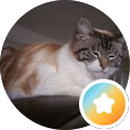 user-pic