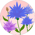 Chris C's Profile Image