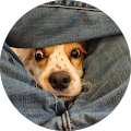 Chris Neipert's Profile Image