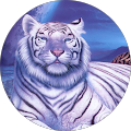 profile-photo