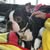 Michael Bulgarelli's profile image