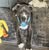 Debi Roesener's profile image