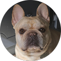 profile-photo