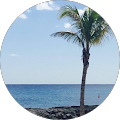 Lindsay Zook's Profile Image