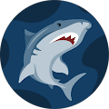 S Jack's Profile Image