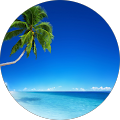 Phil Knuth's Profile Image