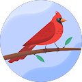 Jack Feldmann's Profile Image