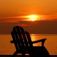 Molly Williams's profile image