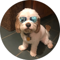 A H's Profile Image