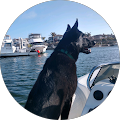 Rob Wirtz's Profile Image