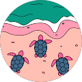 Profile Photo of HMM
