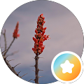 Joan Neslund's Profile Image