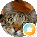 Nathaniel Schmitt's Profile Image