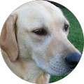 Profile Photo of Nancy Myers