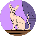 profile-photo