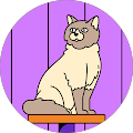 Reviewer profile photo