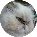 C. James's Profile Image