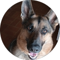 Betty Johnson's Profile Image