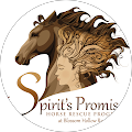 Profile Photo of Spirits Promise