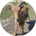 profile-photo