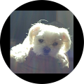 Susan's Profile Image