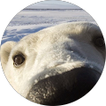 B L VanDevender's Profile Image