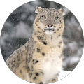 Profile Photo of Janey Lowe