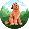 Moki Holdings LLC
