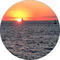 DrJ52's Profile Image