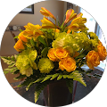 Kate Yarbrough's Profile Image