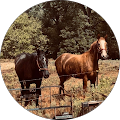 profile-photo