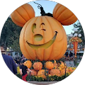 Teresa Higgins's Profile Image