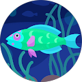 https://ddjkm7nmu27lx.cloudfront.net/495534271/9fb91870a4c342eca640468a086d41de.png's Profile Image