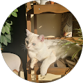 Reviewer profile photo Reviewer profile photo
