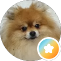 Cindee Park's Profile Image