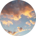 Jim Renee Wetzel's Profile Image