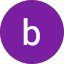 brandt s.