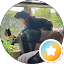 profile-photo