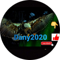 Dany2020