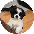 profile-photo