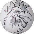 The Dirty Rooster's Profile Image