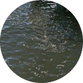 FRANK MIRAGLIA's Profile Image
