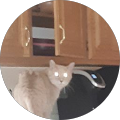 Melissa Janec's Profile Image