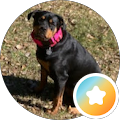 Ruth Rowan Faber's Profile Image