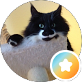 Denise Fleming's Profile Image
