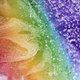 Pauline Foster's profile image