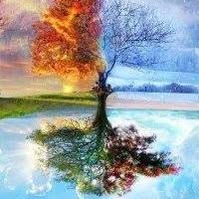 Shannon Porter Furrie's profile image
