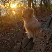 Carole Rogers Yuster's profile image