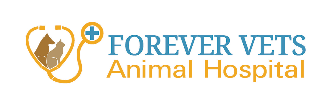 Forever Vets Animal Hospital at Baymeadows